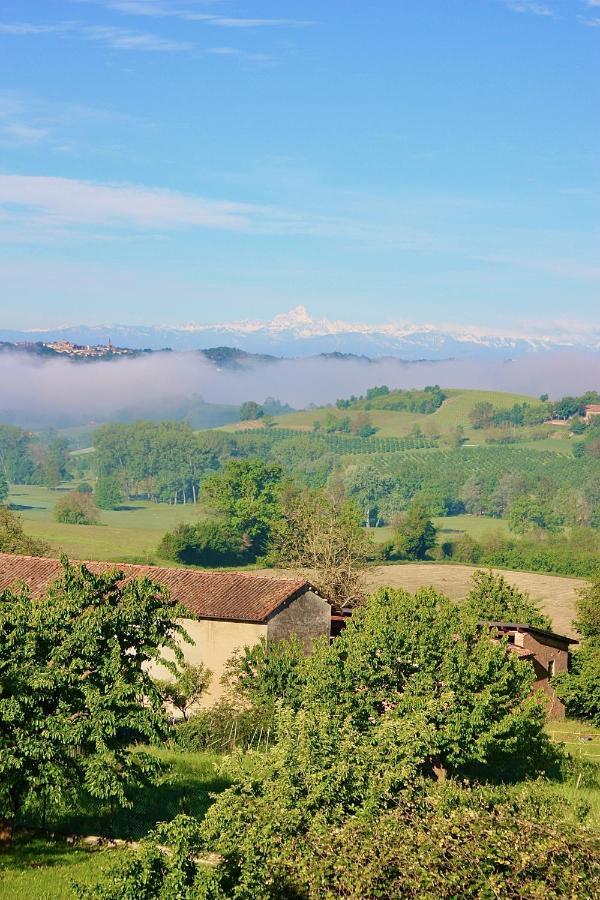 Casapaletti Country House 阿尔法诺纳塔 外观 照片